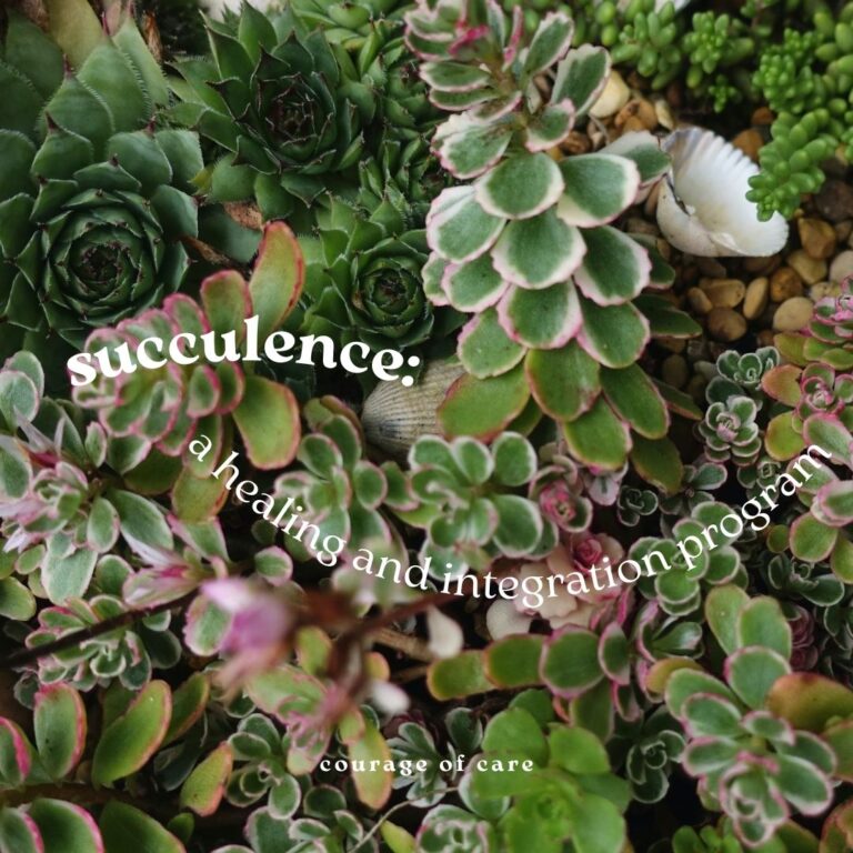 white text over full picture of succulents reads: succulence: a healing an integration pgoram